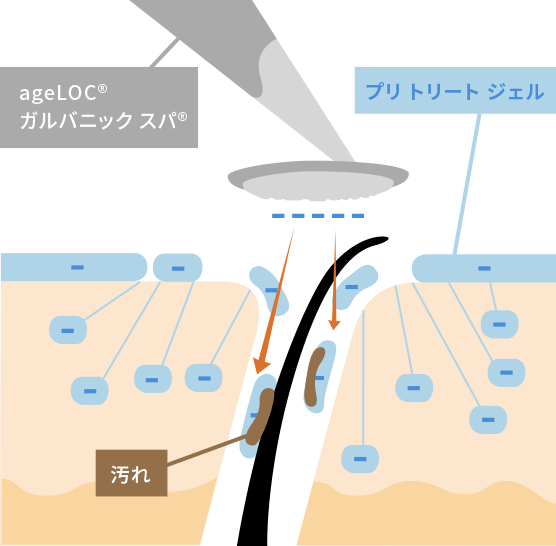 人気絶頂 ニュースキン フェイスガルバ&フェイシャルジェル フェイスケア/美顔器 - www.proviasnac.gob.pe