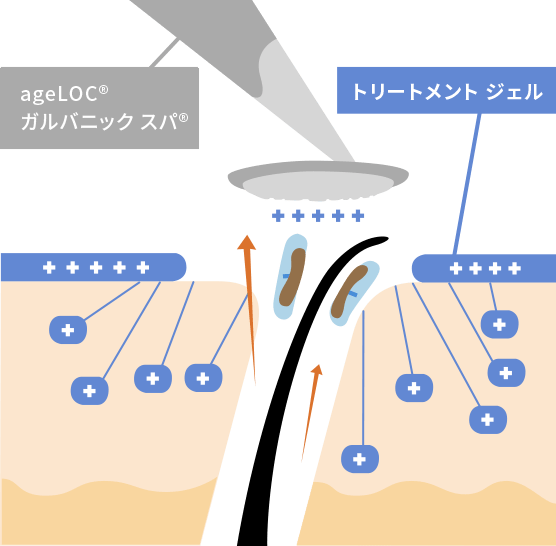 ageLOC ガルバ専用フェイスジェル